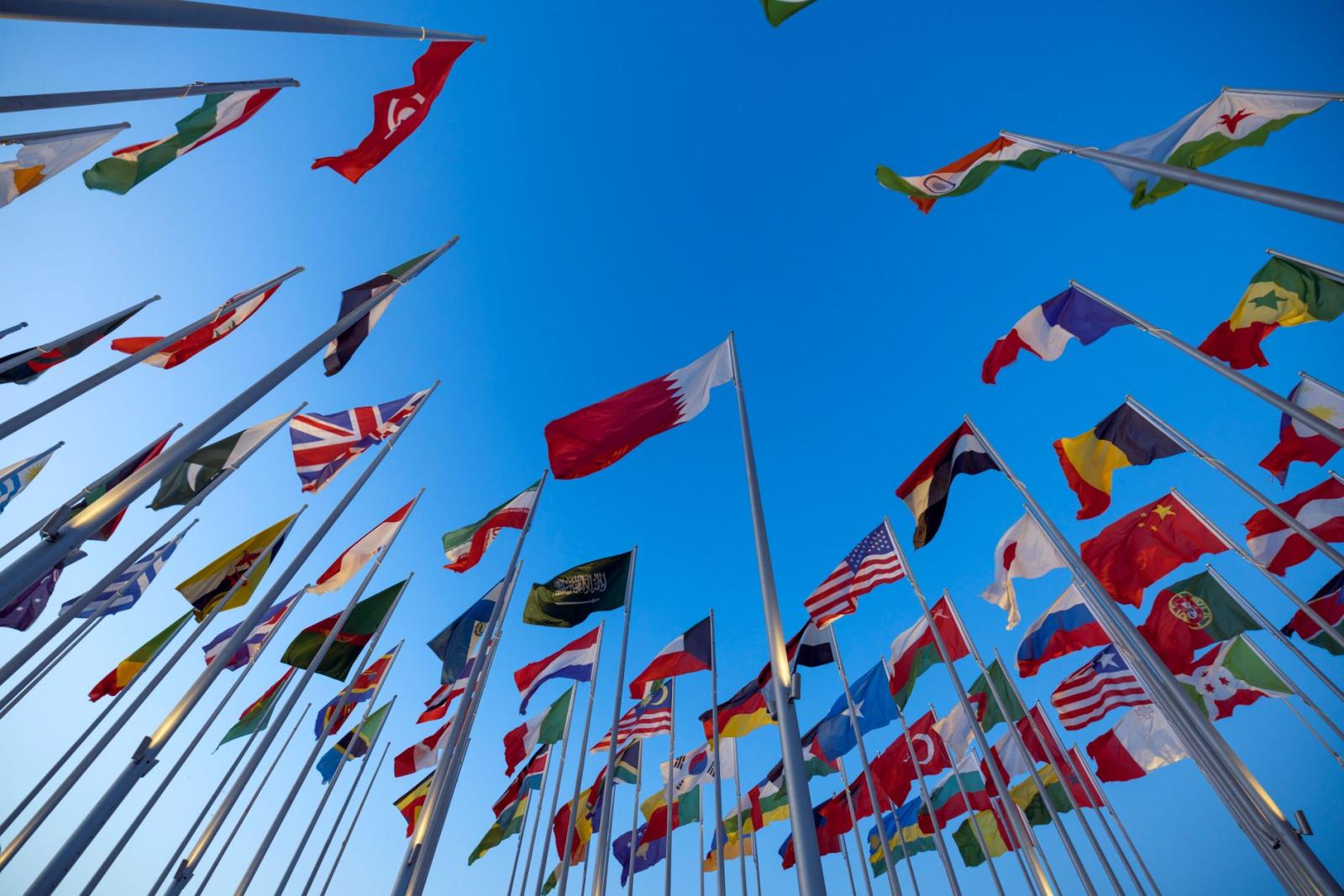 UN Member Countries